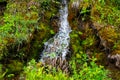 Waterfall green forest river stream landscape Royalty Free Stock Photo