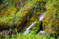 Waterfall green forest river stream landscape Royalty Free Stock Photo