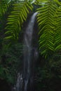 A waterfall in a green forest Royalty Free Stock Photo