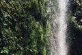 Waterfall, Green leaves background. Natural tropical backdrop nature forest