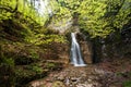 Waterfall in green wood