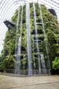 Waterfall in the greenhouses of Singapore. Gardens by the Bay.