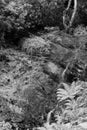 mono waterfall at Kylemore Abbey Royalty Free Stock Photo