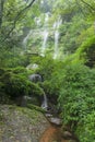 Waterfall group through ancient stone bridge in forest Royalty Free Stock Photo