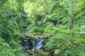 Waterfall group with green shrubbery