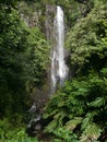 Waterfall on Hana Highway Maui Hawaii Royalty Free Stock Photo