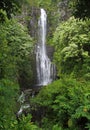 Waterfall (Hawaii) Royalty Free Stock Photo