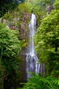 Waterfall in Hawaii Royalty Free Stock Photo