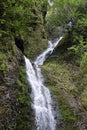 Waterfall in Hawaii