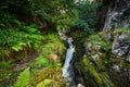 Waterfall of Hethpool Linn in gorge Royalty Free Stock Photo