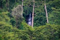 Secret Waterfall in the middle of the forest Royalty Free Stock Photo