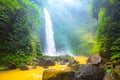 Waterfall hidden in the tropical jungle. Nungnung, Bali Royalty Free Stock Photo