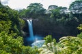 Waterfall, Hilo, Hawaii Royalty Free Stock Photo