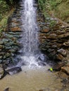 Waterfall on himsori in CoxÃ¢â¬â¢s Bazar