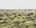 lava vulcanic area moss ICELAND