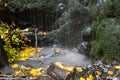 Waterfall of Ilona Walley, Hungary, Parad