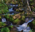 Waterfall in the Italian forest