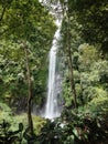 Waterfall in Jember, East Java Royalty Free Stock Photo