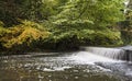 Waterfall in Jesmond Dene, Newcastle upon Tyne, UK with autumn colours Royalty Free Stock Photo