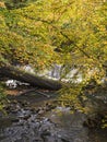 Waterfall in Jesmond Dene, Newcastle upon Tyne, Uk with autumn colours Royalty Free Stock Photo