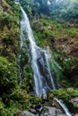 The waterfall in the jungle Royalty Free Stock Photo