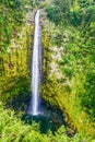 Waterfall in the jungle Royalty Free Stock Photo