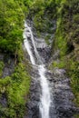 Waterfall in jungle