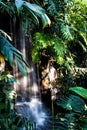 Waterfall Jungle Plants Flowing Water Rocks