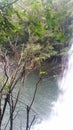 waterfall with jungle