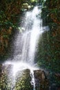 Waterfall, jungle and trees on landscape in nature, growth and sustainability in summer with rocks. River, leaves and Royalty Free Stock Photo