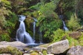 Waterfall in the Kaimai Mountains, New Zealand