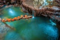 Waterfall at Kanchanaburi,Thailand with orange mushroom