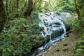 Waterfall in forest.