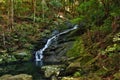 Waterfall in Kondalilla National Park