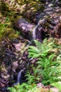 waterfall at Kylemore Abbey Royalty Free Stock Photo