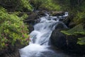 Waterfall at La Vall de Sorteny Naturtal Park