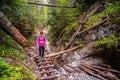 Waterfall with ladder in canyon, sucha bela in Slovak Paradise, Slovensky Raj National Park, Slovakia.