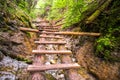 Waterfall with ladder in canyon, sucha bela in Slovak Paradise, Slovensky Raj National Park, Slovakia. Royalty Free Stock Photo