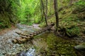 Waterfall with ladder in canyon, sucha bela in Slovak Paradise, Slovensky Raj National Park, Slovakia. Royalty Free Stock Photo