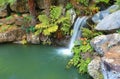 Waterfall and lagoon at Mt Tomah NSW Australia Royalty Free Stock Photo