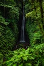 Waterfall landscape. Beautiful hidden Leke Leke waterfall in Bali. Waterfall in tropical rainforest. Focus on foreground with