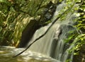 WaterFall Landscape Nature Park Water Slow Motion Blurred Background Royalty Free Stock Photo