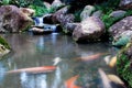 Waterfall and landscapes Royalty Free Stock Photo