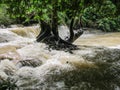 Waterfall of Laos