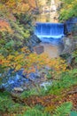 Waterfall with leaves turning color in autumn in Naruko Gorge - Osaki, Miyagi, Japan Royalty Free Stock Photo