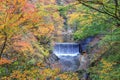 Waterfall with leaves turning color in autumn in Naruko Gorge - Osaki, Miyagi, Japan Royalty Free Stock Photo