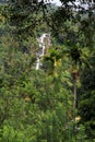 Waterfall in Ella - Sri lanka