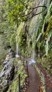 Waterfall on the levada of Caldeirao Verde