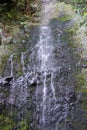 Waterfall in levadas, Madeira island forest, Portugal Royalty Free Stock Photo