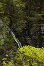 Waterfall - Lick Brook Canyon - Sweedler Park - Ithaca, New York Royalty Free Stock Photo